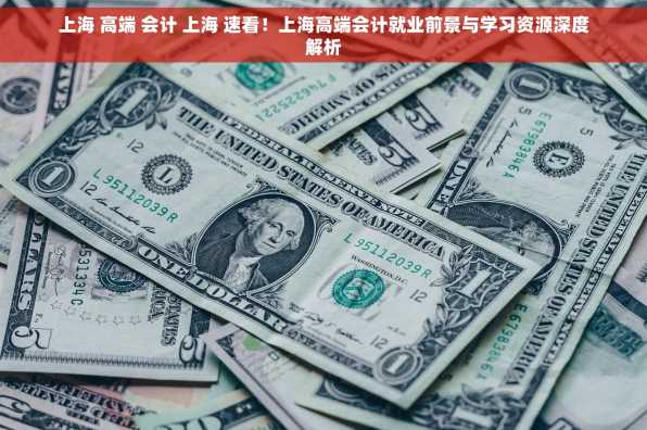 上海 高端 会计 上海 速看！上海高端会计就业前景与学习资源深度解析