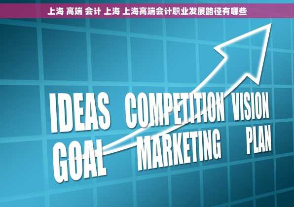 上海 高端 会计 上海 上海高端会计职业发展路径有哪些