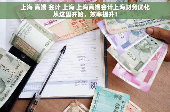 上海 高端 会计 上海 上海高端会计上海财务优化从这里开始，效率提升！