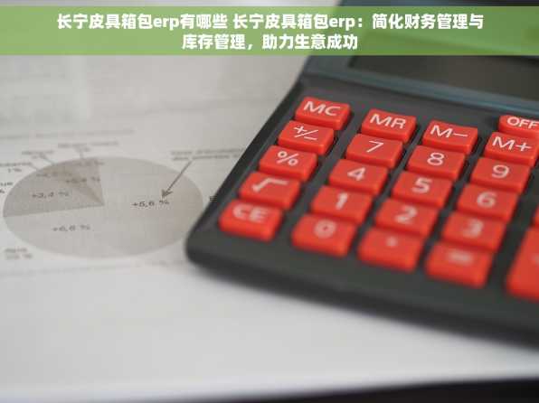 长宁皮具箱包erp有哪些 长宁皮具箱包erp：简化财务管理与库存管理，助力生意成功