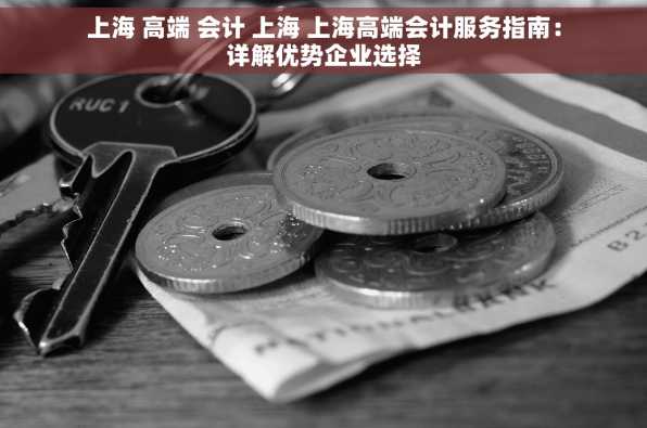 上海 高端 会计 上海 上海高端会计服务指南：详解优势企业选择