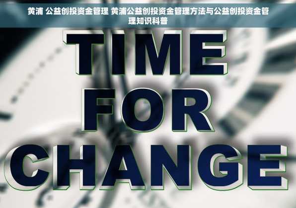 黄浦 公益创投资金管理 黄浦公益创投资金管理方法与公益创投资金管理知识科普