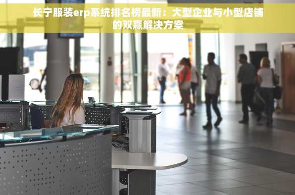 长宁服装erp系统排名榜最新：大型企业与小型店铺的双赢解决方案