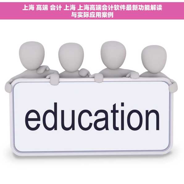 上海 高端 会计 上海 上海高端会计软件最新功能解读与实际应用案例