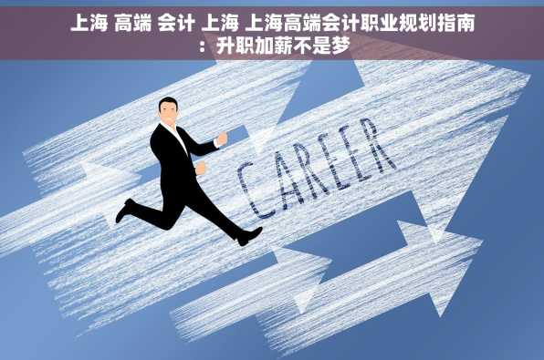 上海 高端 会计 上海 上海高端会计职业规划指南：升职加薪不是梦