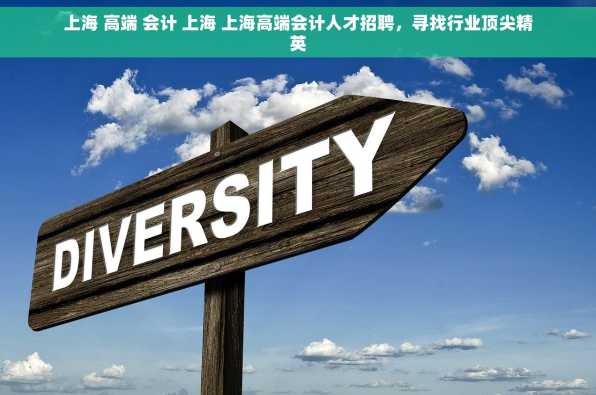 上海 高端 会计 上海 上海高端会计人才招聘，寻找行业顶尖精英