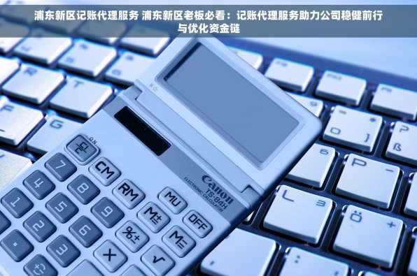 浦东新区记账代理服务 浦东新区老板必看：记账代理服务助力公司稳健前行与优化资金链