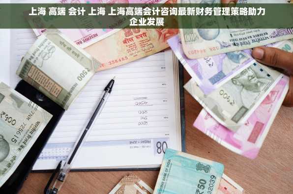 上海 高端 会计 上海 上海高端会计咨询最新财务管理策略助力企业发展