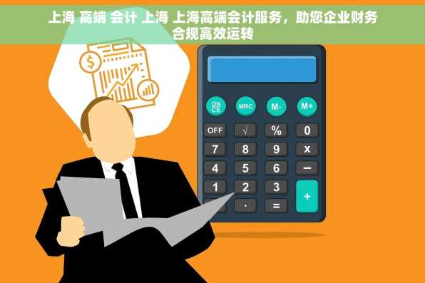 上海 高端 会计 上海 上海高端会计服务，助您企业财务合规高效运转