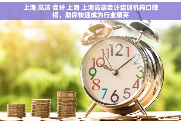 上海 高端 会计 上海 上海高端会计培训机构口碑榜，助你快速成为行业精英