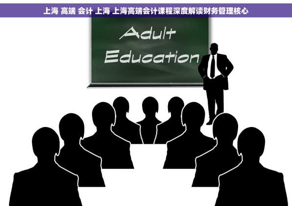 上海 高端 会计 上海 上海高端会计课程深度解读财务管理核心