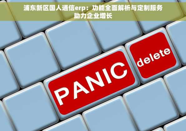 浦东新区国人通信erp：功能全面解析与定制服务助力企业增长