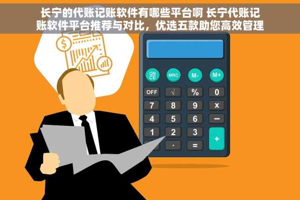 长宁的代账记账软件有哪些平台啊 长宁代账记账软件平台推荐与对比，优选五款助您高效管理财务