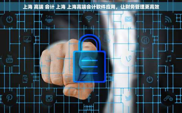 上海 高端 会计 上海 上海高端会计软件应用，让财务管理更高效