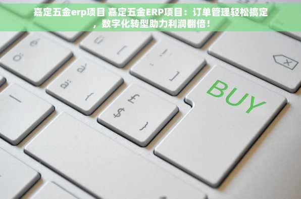 嘉定五金erp项目 嘉定五金ERP项目：订单管理轻松搞定，数字化转型助力利润翻倍！
