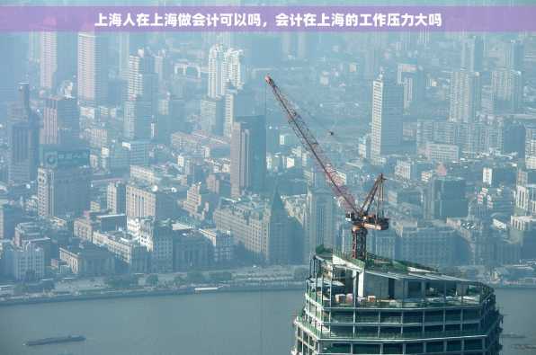 上海人在上海做会计可以吗，会计在上海的工作压力大吗