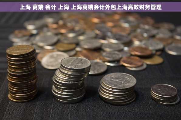 上海 高端 会计 上海 上海高端会计外包上海高效财务管理