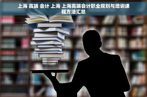 上海 高端 会计 上海 上海高端会计职业规划与培训课程方法汇总