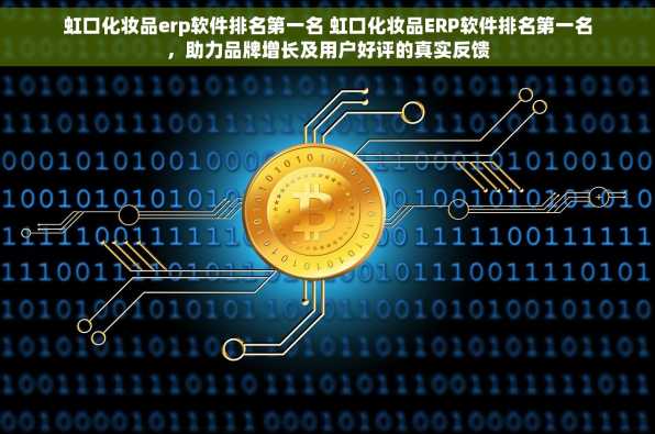 虹口化妆品erp软件排名第一名 虹口化妆品ERP软件排名第一名，助力品牌增长及用户好评的真实反馈