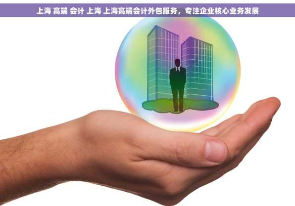 上海 高端 会计 上海 上海高端会计外包服务，专注企业核心业务发展