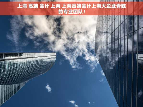 上海 高端 会计 上海 上海高端会计上海大企业青睐的专业团队！