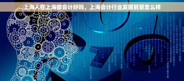 上海人在上海做会计好吗，上海会计行业发展前景怎么样