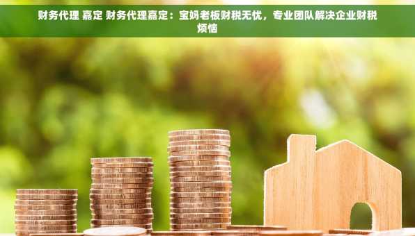 财务代理 嘉定 财务代理嘉定：宝妈老板财税无忧，专业团队解决企业财税烦恼