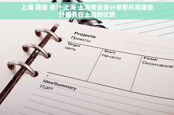 上海 高端 会计 上海 上海专业会计事务所高端会计服务在上海的优势