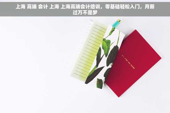 上海 高端 会计 上海 上海高端会计培训，零基础轻松入门，月薪过万不是梦