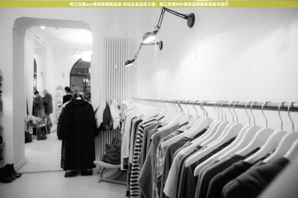 松江仓库erp系统有哪些品牌 成功企业选择之道：松江仓库ERP系统品牌最新动态与排行