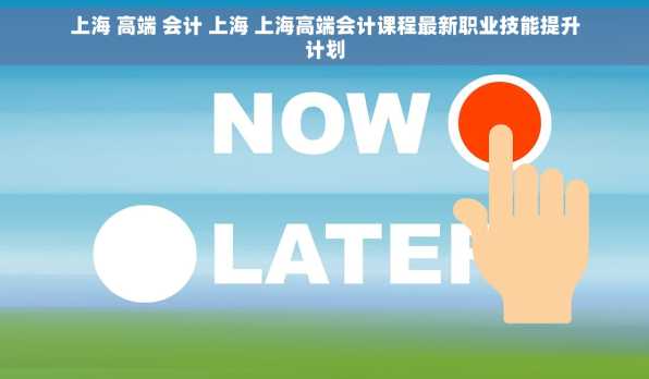 上海 高端 会计 上海 上海高端会计课程最新职业技能提升计划
