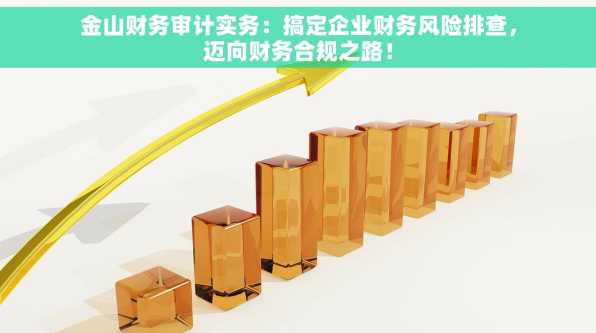 金山财务审计实务：搞定企业财务风险排查，迈向财务合规之路！