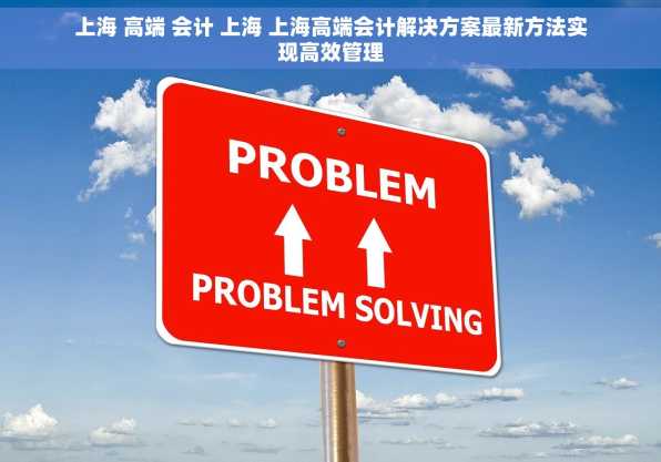 上海 高端 会计 上海 上海高端会计解决方案最新方法实现高效管理