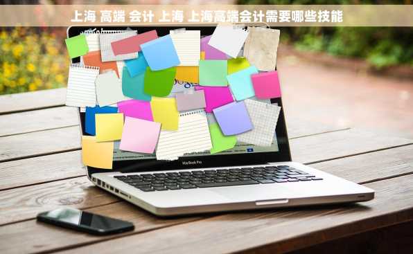 上海 高端 会计 上海 上海高端会计需要哪些技能