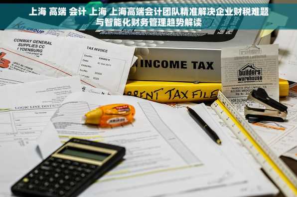 上海 高端 会计 上海 上海高端会计团队精准解决企业财税难题与智能化财务管理趋势解读