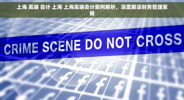 上海 高端 会计 上海 上海高端会计案例解析，深度解读财务管理策略