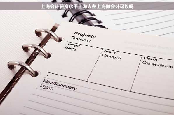 上海会计薪资水平上海人在上海做会计可以吗