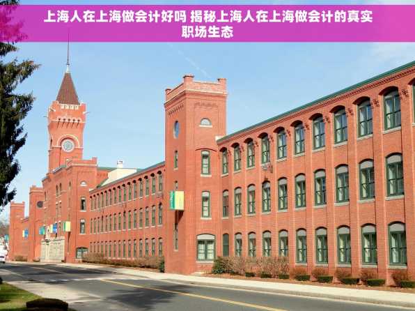 上海人在上海做会计好吗 揭秘上海人在上海做会计的真实职场生态