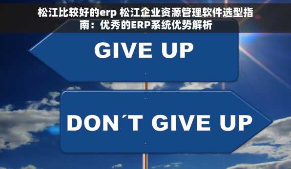 松江比较好的erp 松江企业资源管理软件选型指南：优秀的ERP系统优势解析