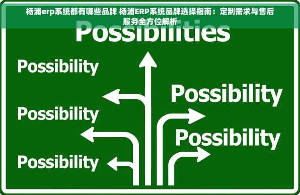 杨浦erp系统都有哪些品牌 杨浦ERP系统品牌选择指南：定制需求与售后服务全方位解析