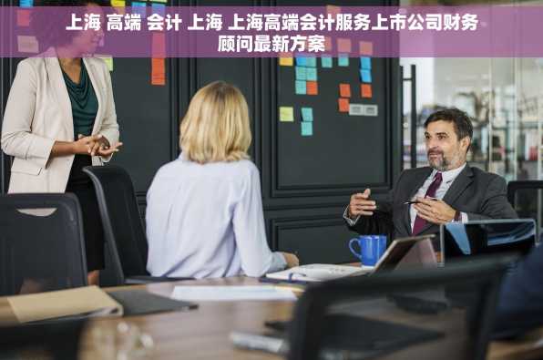 上海 高端 会计 上海 上海高端会计服务上市公司财务顾问最新方案