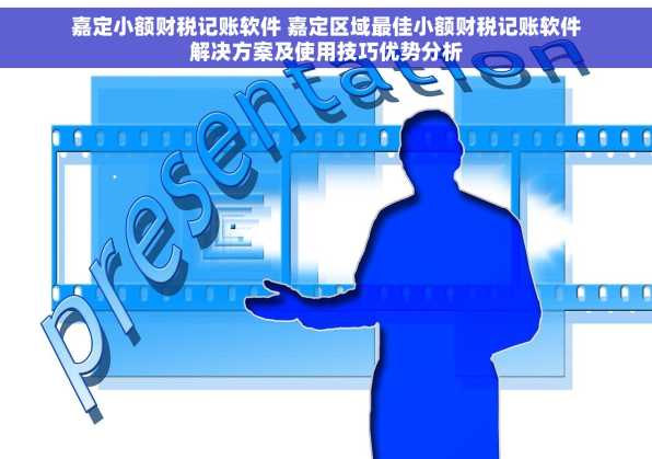 嘉定小额财税记账软件 嘉定区域最佳小额财税记账软件解决方案及使用技巧优势分析