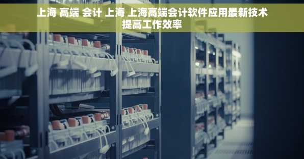 上海 高端 会计 上海 上海高端会计软件应用最新技术提高工作效率