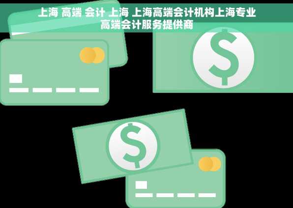 上海 高端 会计 上海 上海高端会计机构上海专业高端会计服务提供商