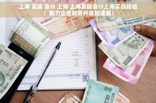 上海 高端 会计 上海 上海高端会计上海实战经验！助力企业财务升级加速器！