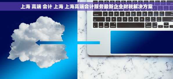上海 高端 会计 上海 上海高端会计服务最新企业财税解决方案