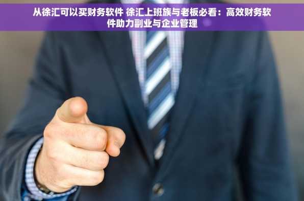从徐汇可以买财务软件 徐汇上班族与老板必看：高效财务软件助力副业与企业管理