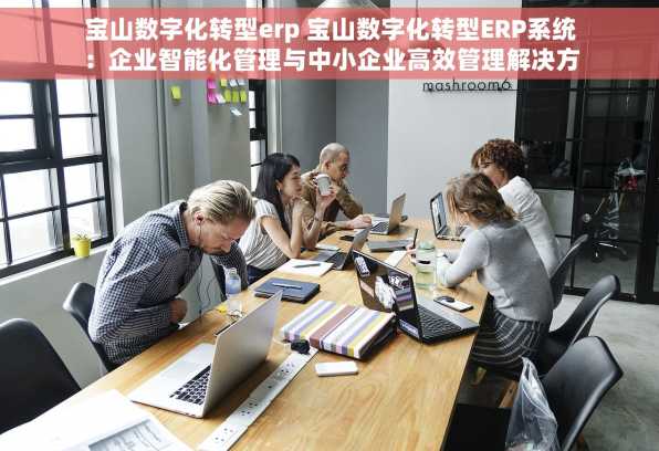 宝山数字化转型erp 宝山数字化转型ERP系统：企业智能化管理与中小企业高效管理解决方案最新升级