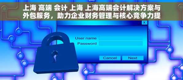 上海 高端 会计 上海 上海高端会计解决方案与外包服务，助力企业财务管理与核心竞争力提升
