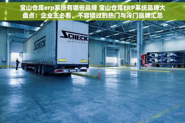 宝山仓库erp系统有哪些品牌 宝山仓库ERP系统品牌大盘点：企业主必看，不容错过的热门与冷门品牌汇总！